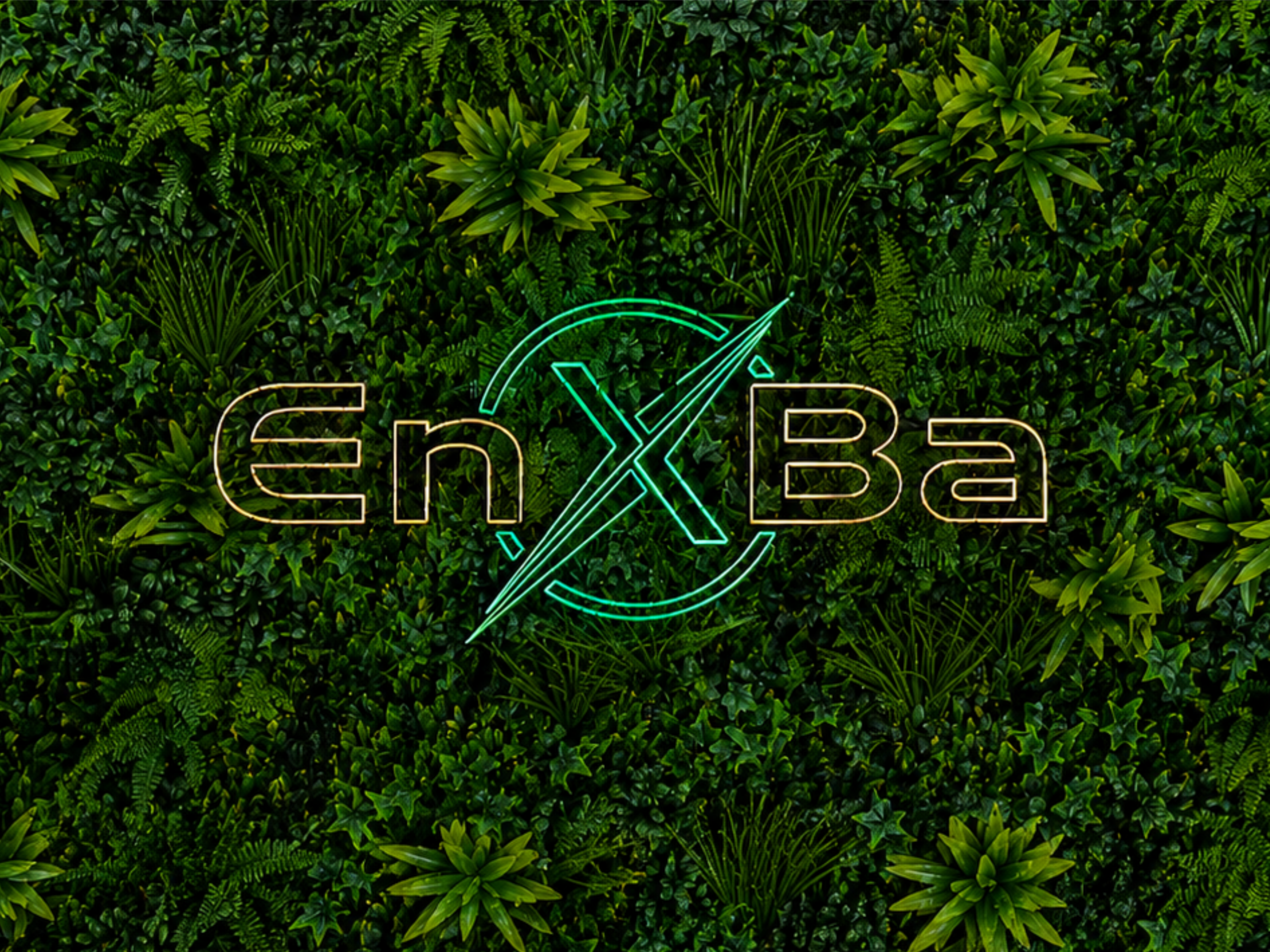 enxba logo